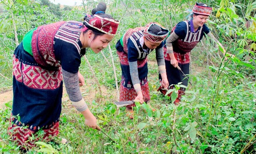 Cuộc sống mới của đồng bào Xa Phó